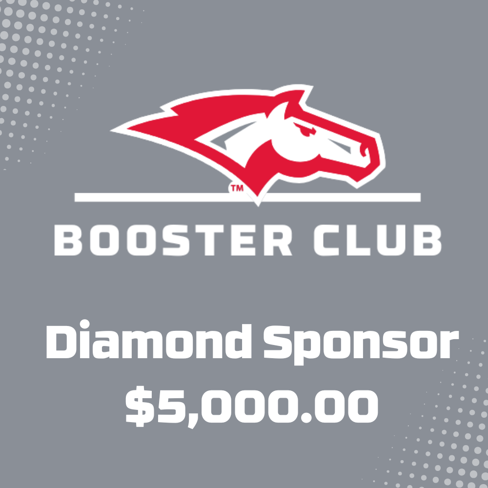 Diamond Sponsor