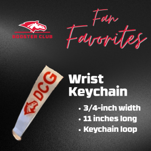 Wrist Keychain